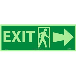 Lluminescent Exit Sign