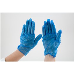 Blue Vinyl Glove Powdered 5 Mil X-L